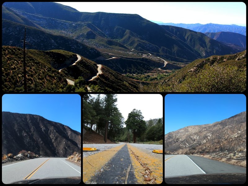 IMG_5210_Fotor_Fotor_Collage.jpg