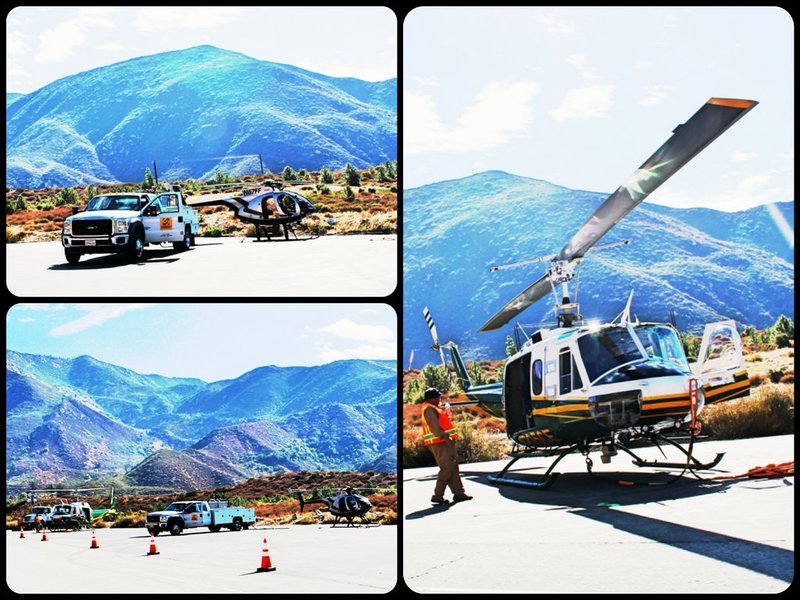 IMG_5210_Fotor_Fotor_Collage1.jpg