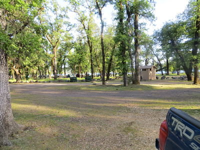 IMG_5250_opt.jpg