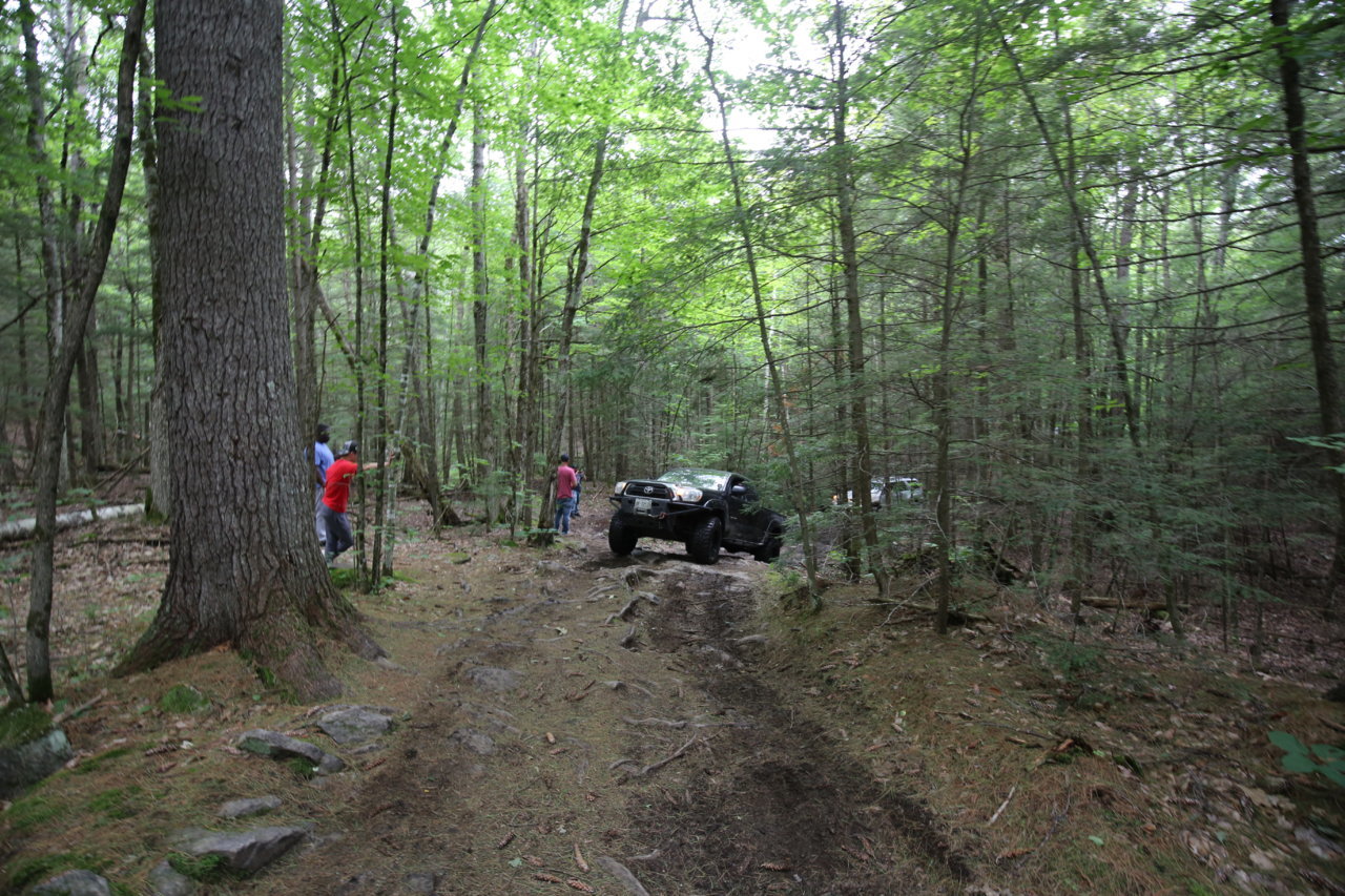 IMG_5265.jpg