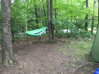 IMG_5267.jpg