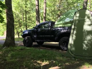 IMG_5293.jpg