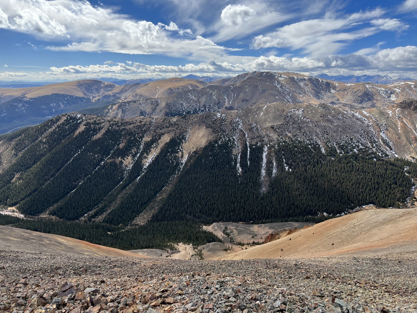 IMG_5295.jpg
