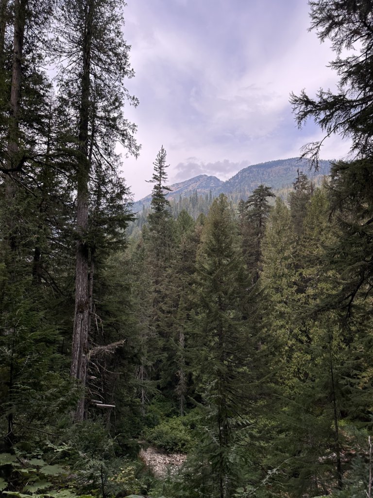 IMG_5308.jpg