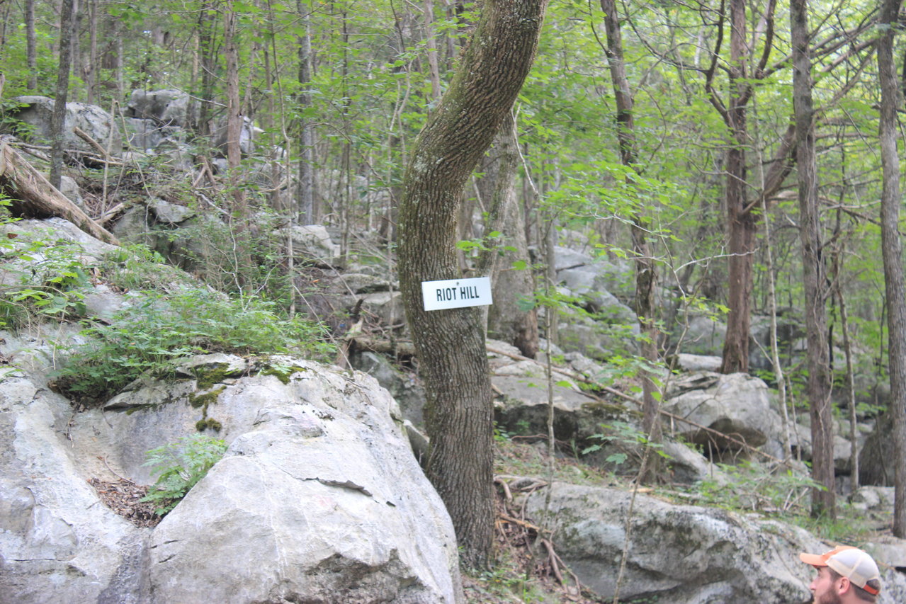 IMG_5316.jpg
