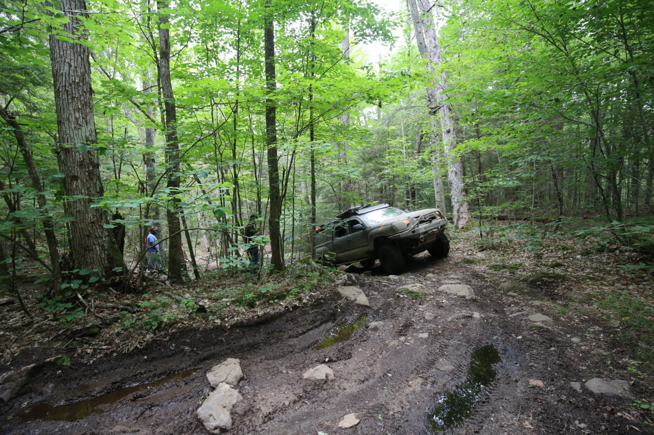 IMG_5334.jpg