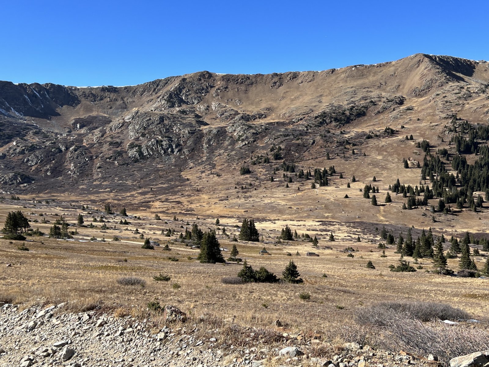 IMG_5335.jpg