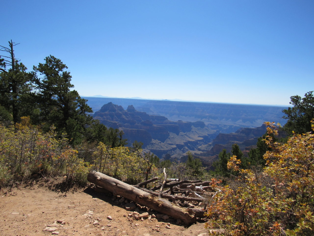 IMG_5360.jpg
