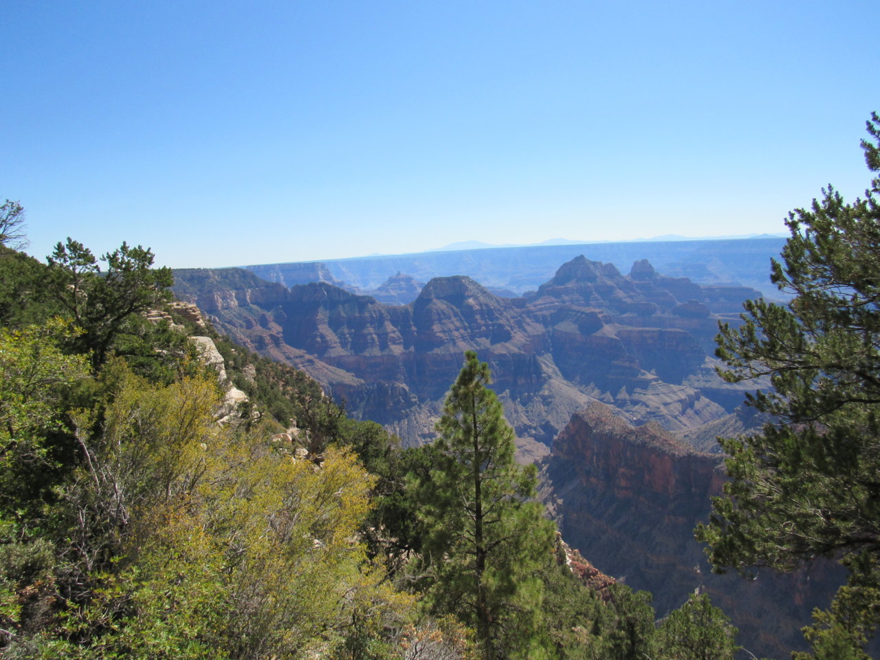 IMG_5364.jpg