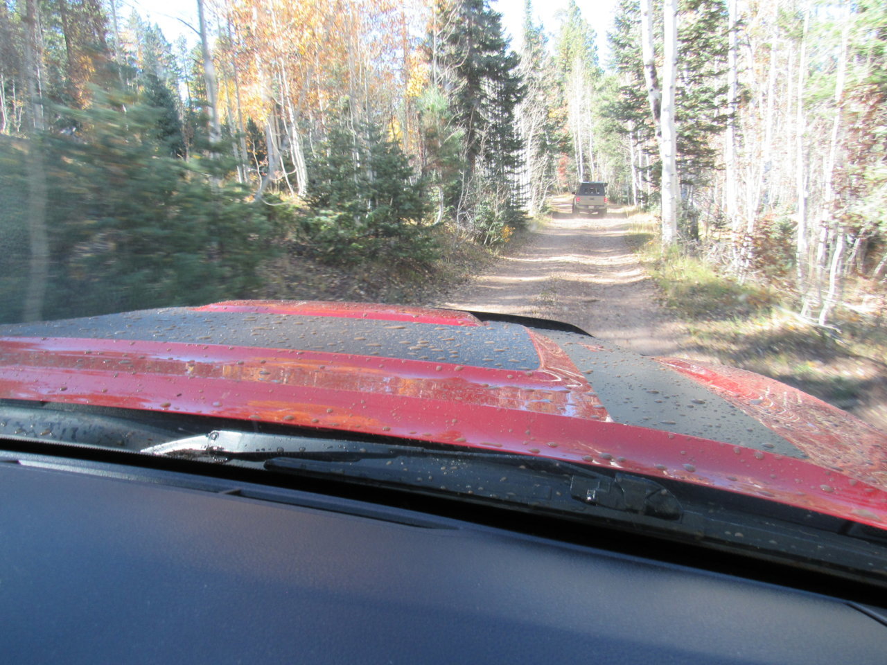 IMG_5376 - Copy.jpg
