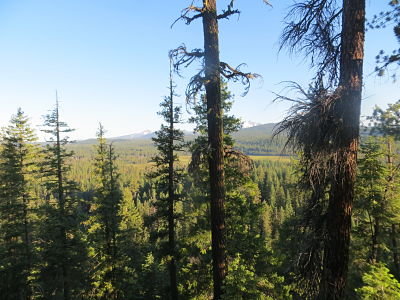 IMG_5415_opt.jpg