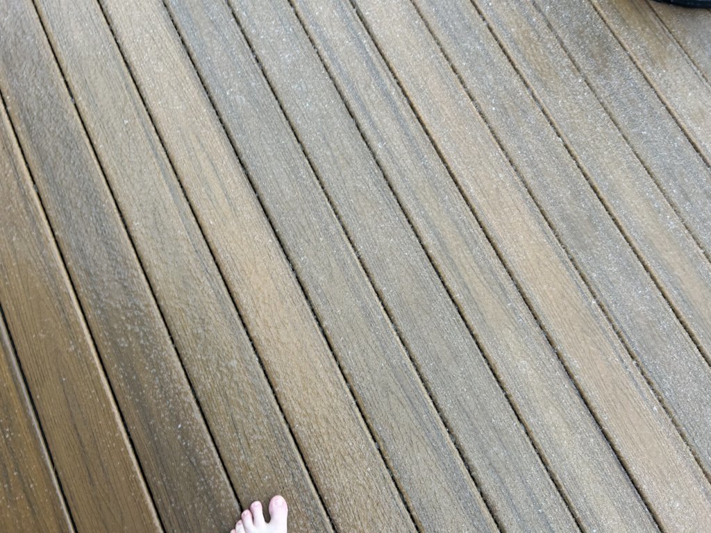 IMG_5445.jpg