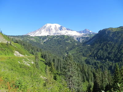 IMG_5473_opt.jpg