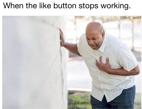 IMG_5506.PNG.jpg