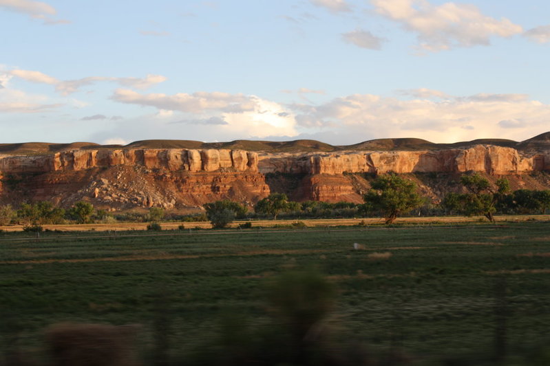 IMG_5529 copy.jpg