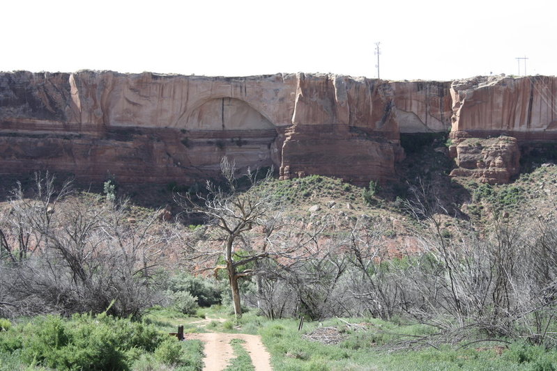 IMG_5541 copy.jpg