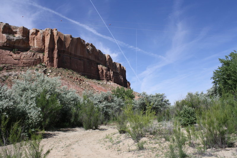 IMG_5549 copy.jpg