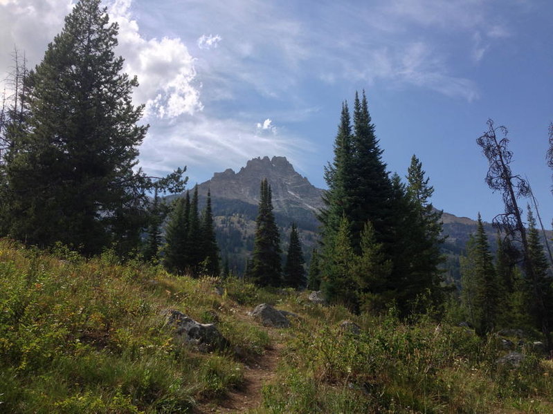 IMG_5563.jpg