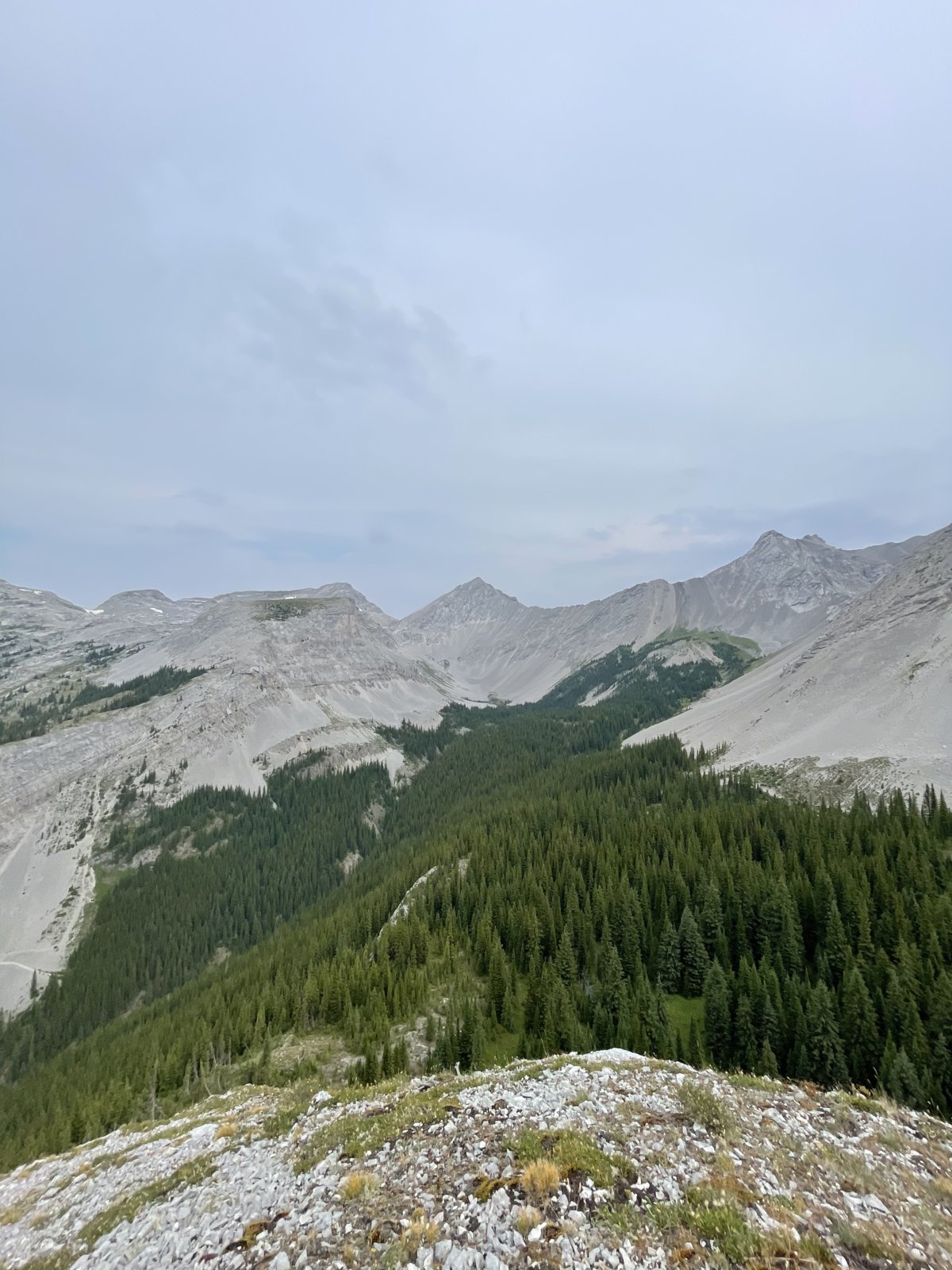 IMG_5573.jpg