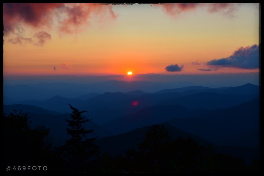 IMG_5575.jpg