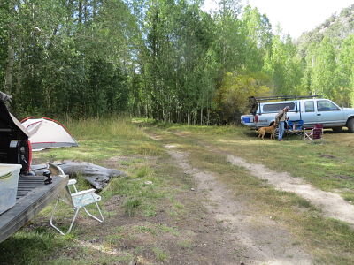 IMG_5576_opt.jpg