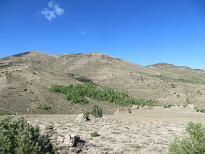 IMG_5586_opt.jpg