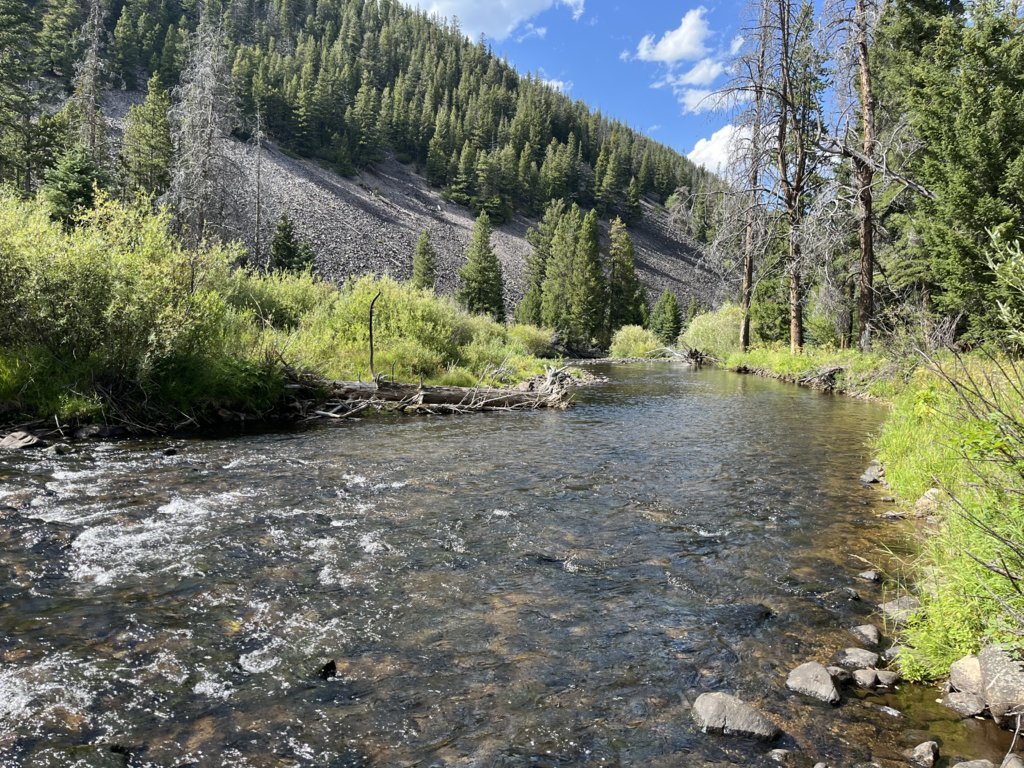 IMG_5608.jpg