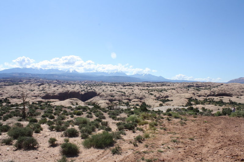 IMG_5619 copy.jpg