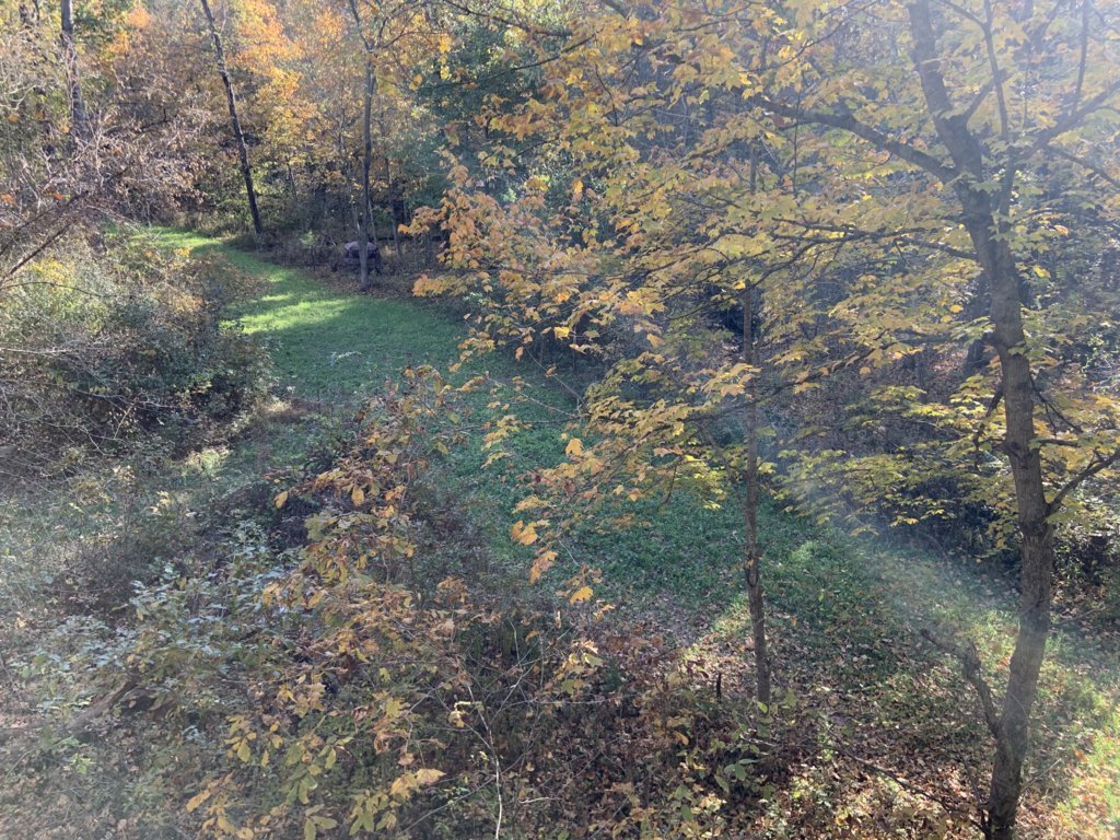 IMG_5622.jpg