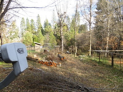 IMG_5703_opt.jpg