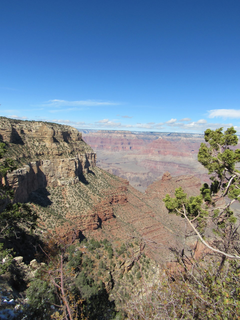 IMG_5723.jpg