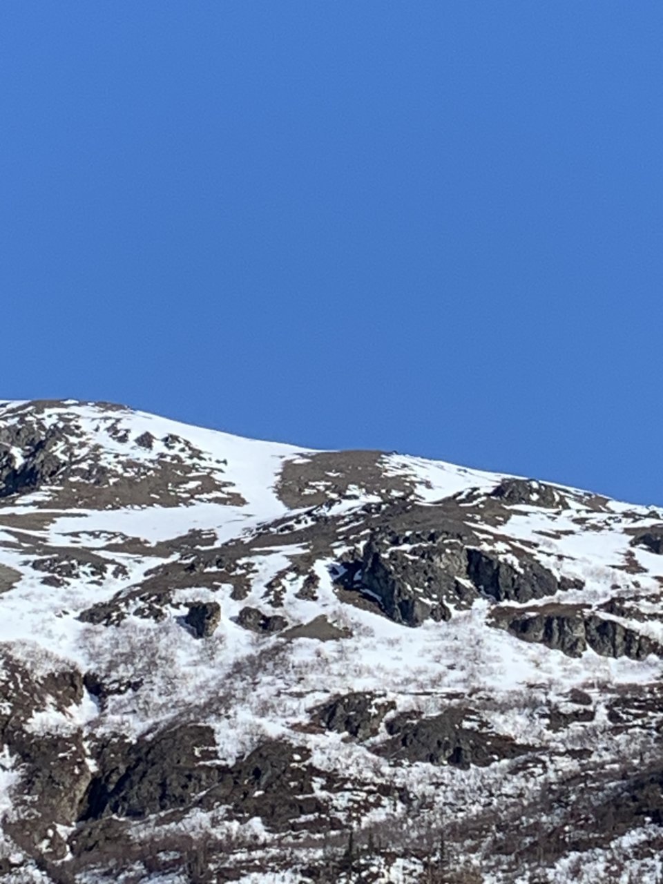 IMG_5793.jpg