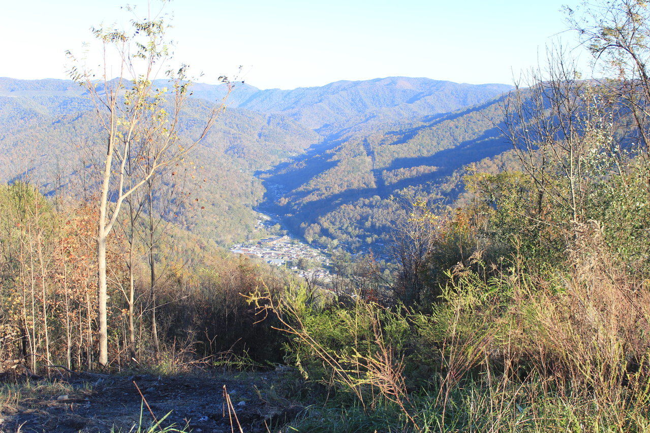IMG_5795.jpg