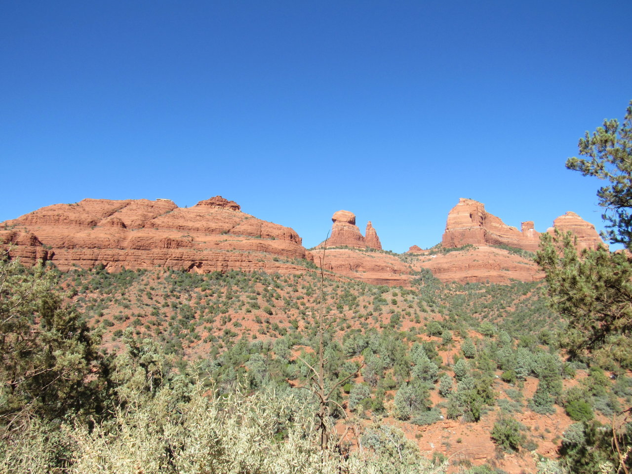 IMG_5859.jpg
