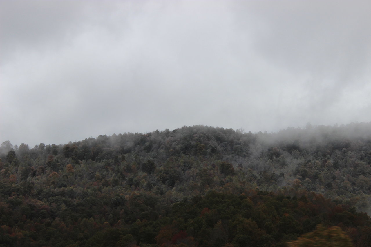 IMG_5905.jpg