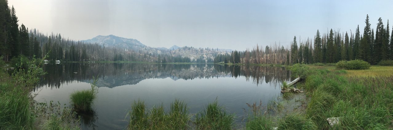 IMG_5943.jpg