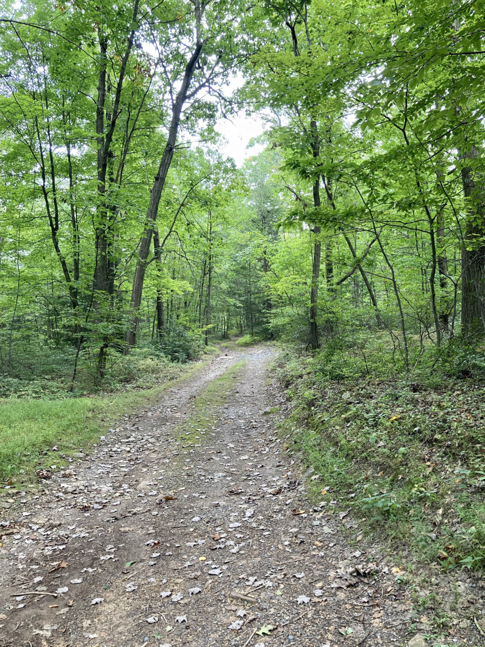 IMG_6110.jpg