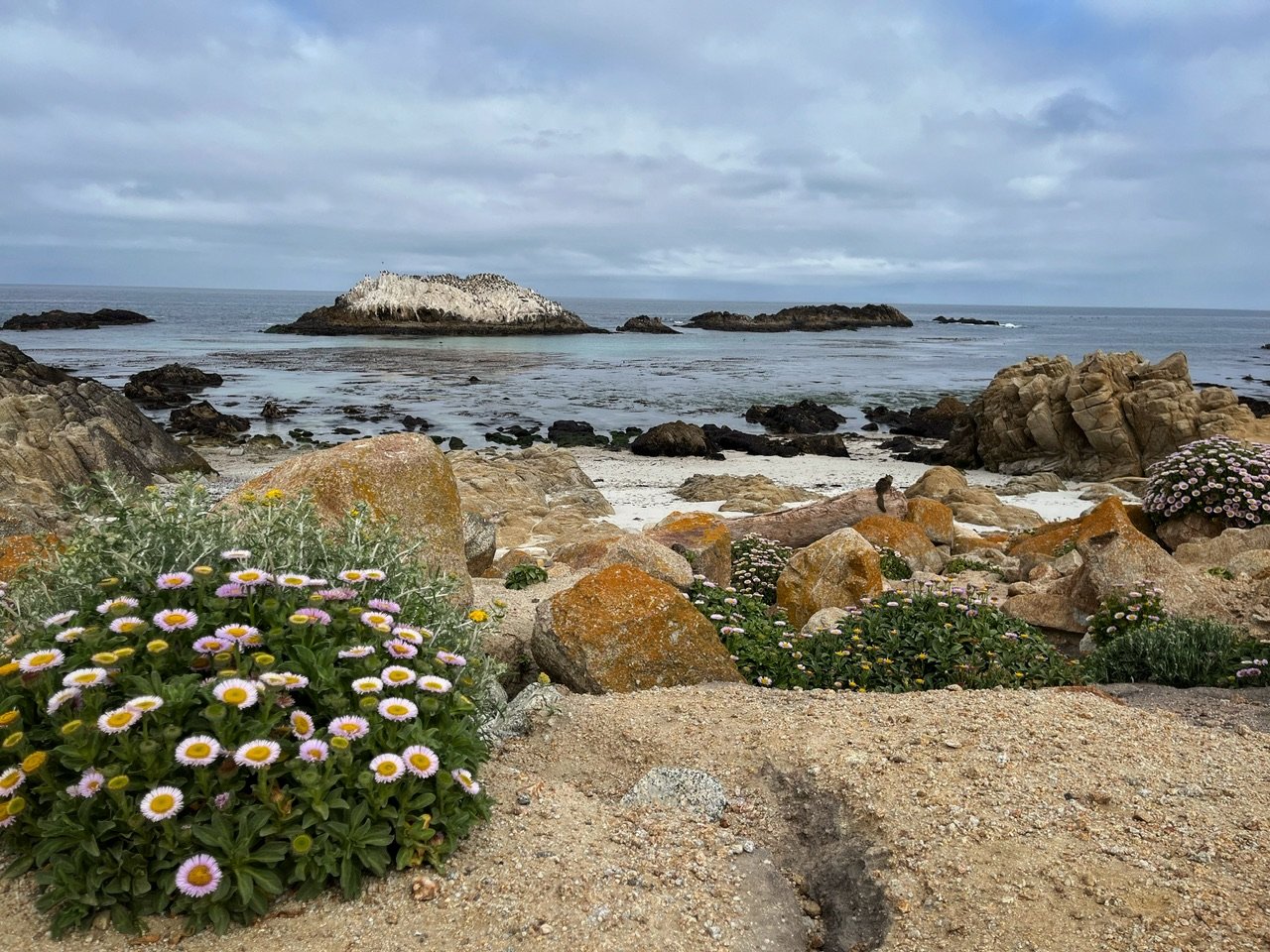 IMG_6176.jpg