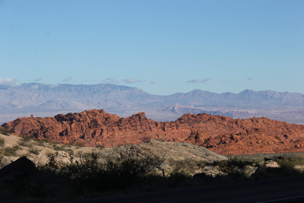 IMG_6228.jpg