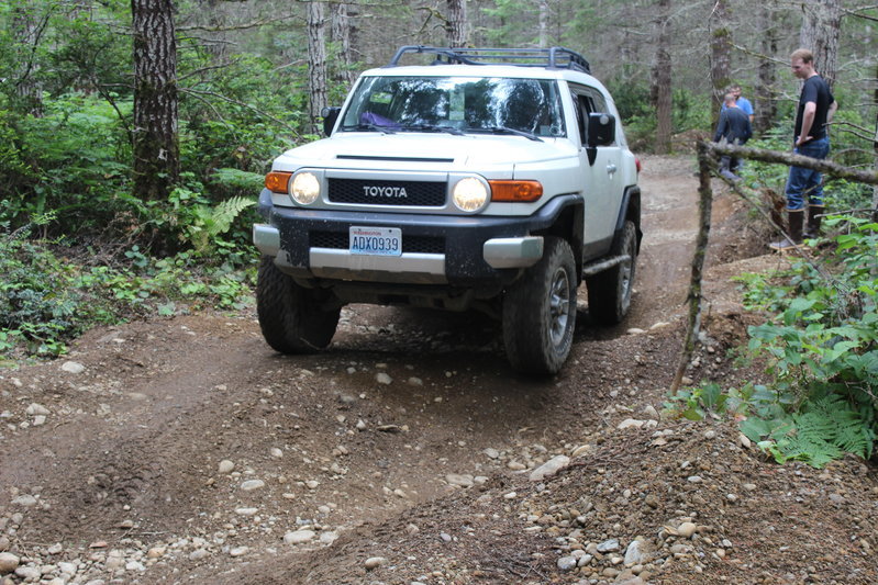 IMG_6246.jpg