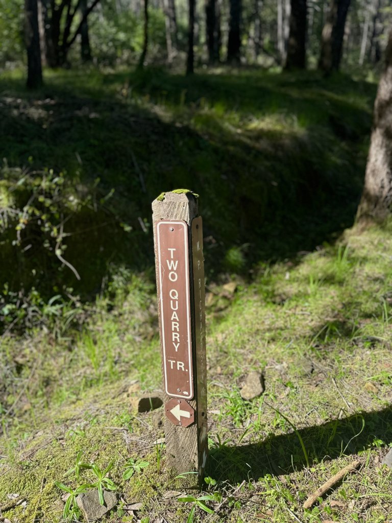 IMG_6258.jpg