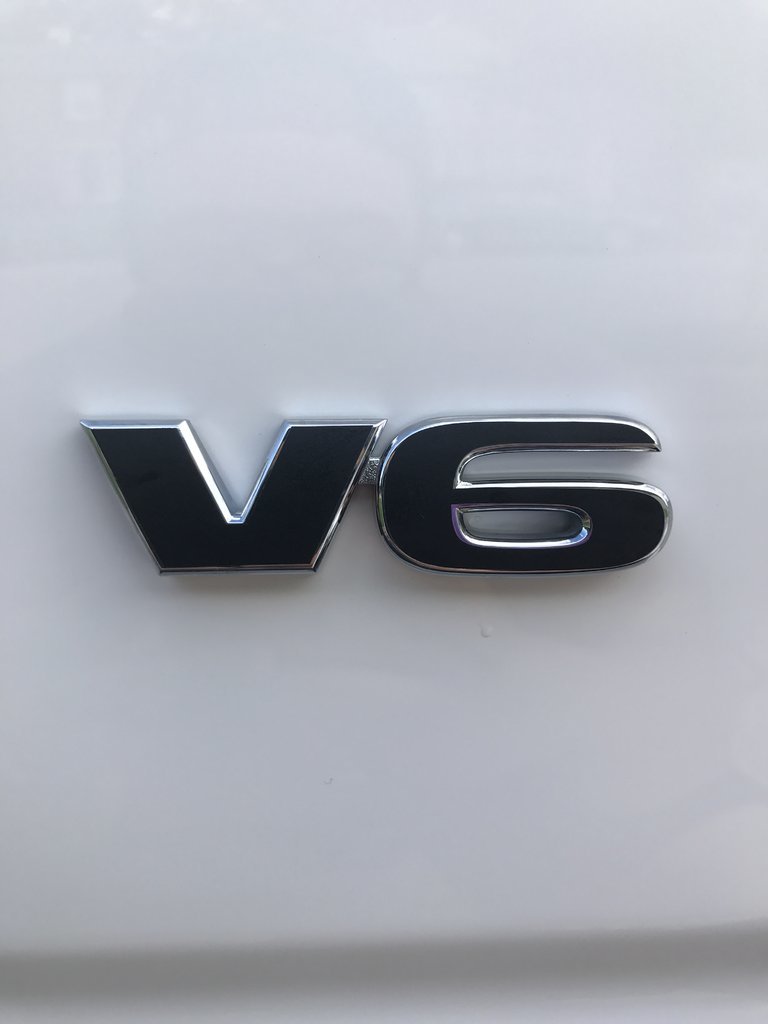 IMG_6262.jpg