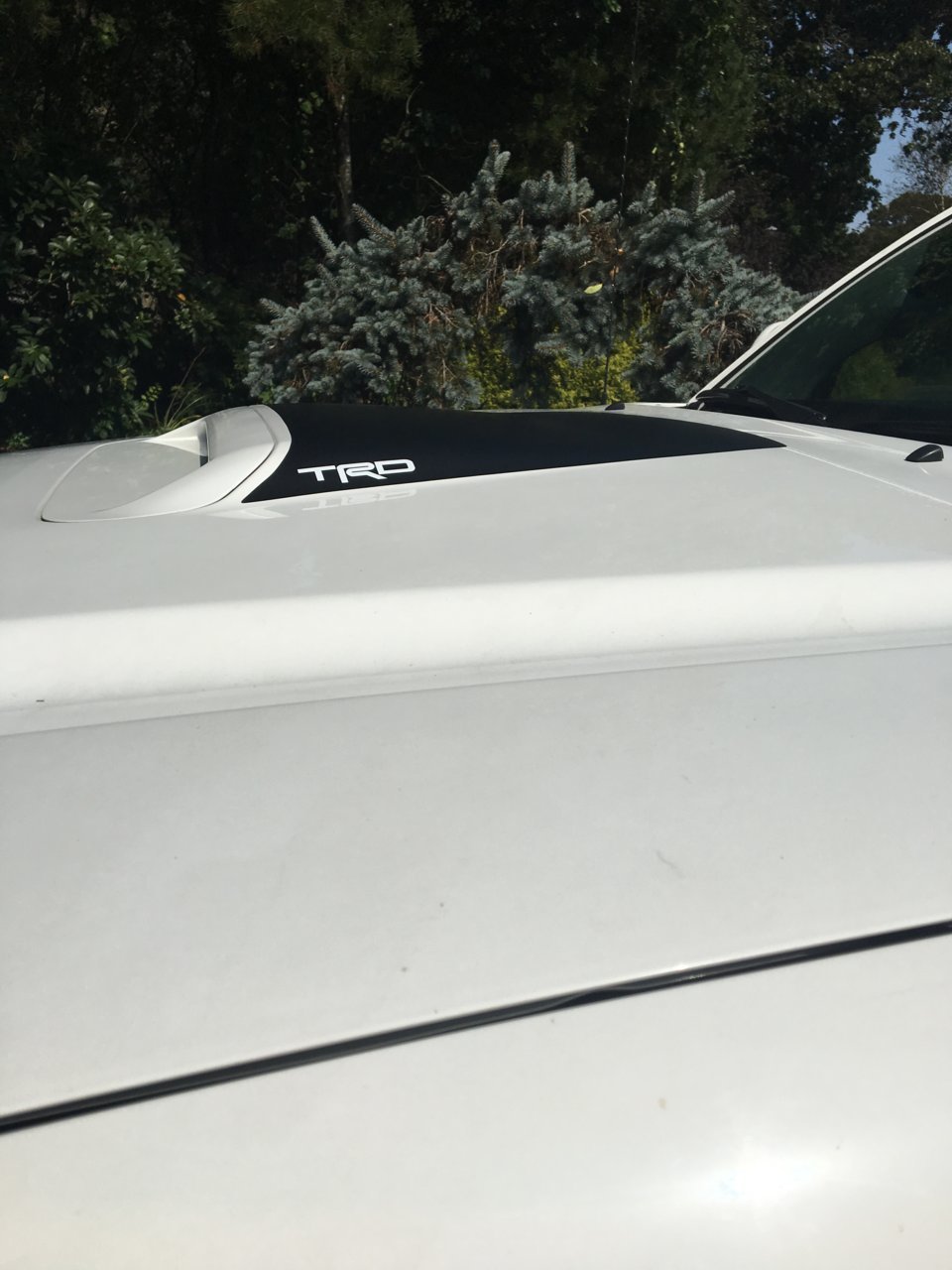 2nd Gen Anti Glare Hood Scoop Decal - Shipping Now | Page 17 | Tacoma World
