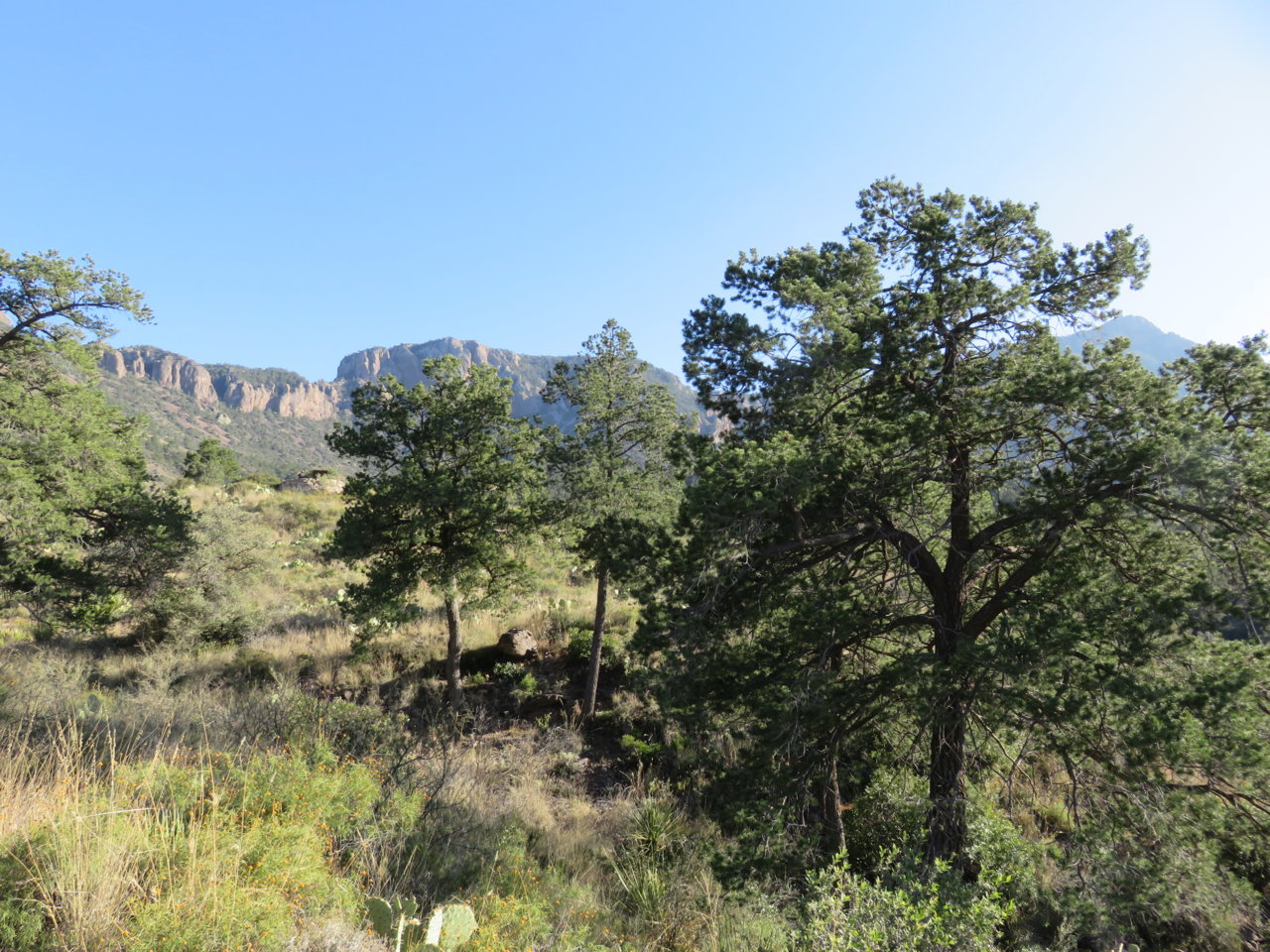 IMG_6324.jpg
