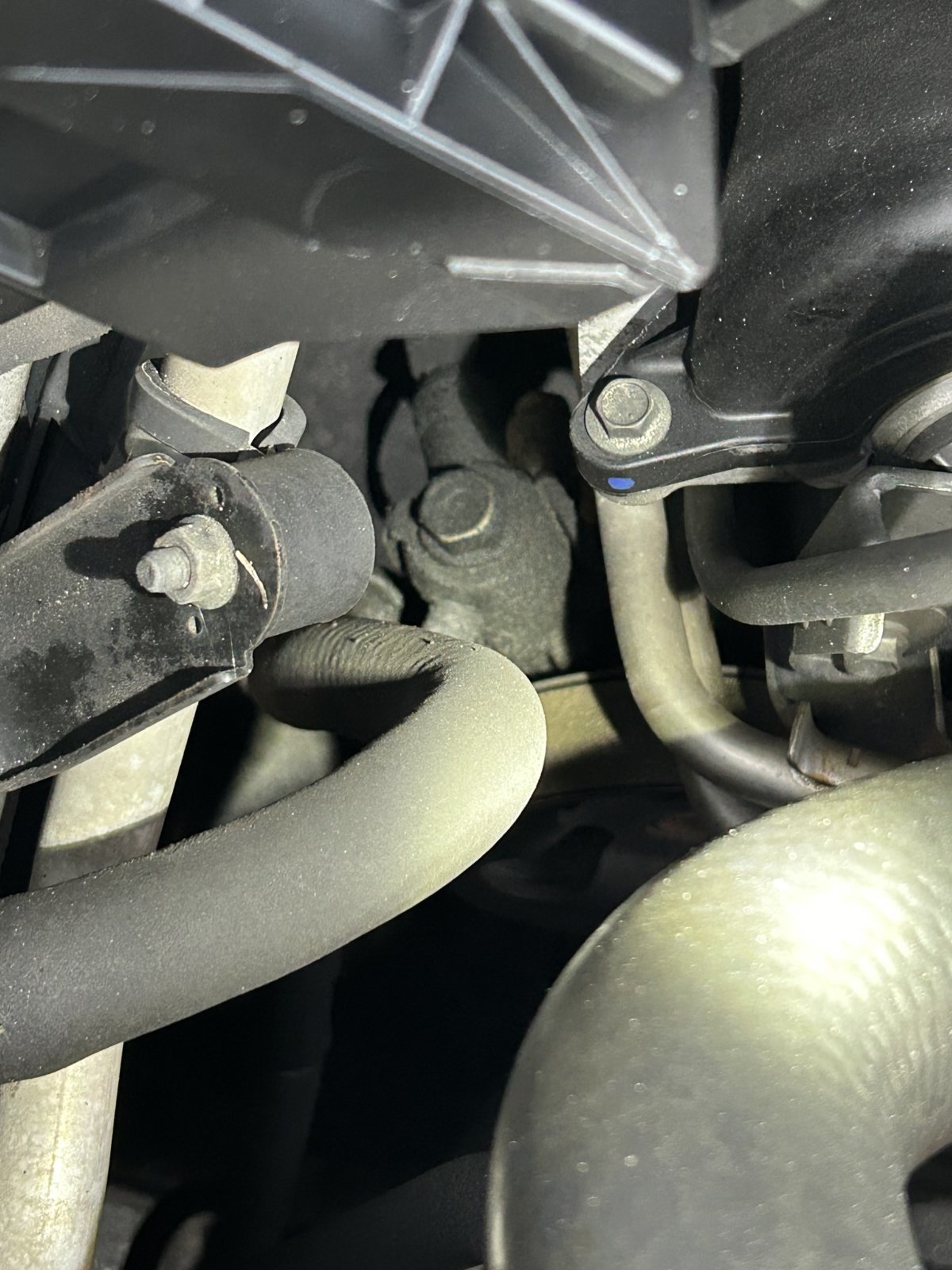 Possible Timing Cover Oil Leak | Tacoma World