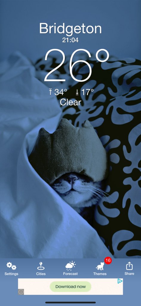 IMG_6349.png
