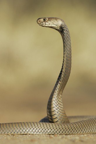 IMG_6350.jpg