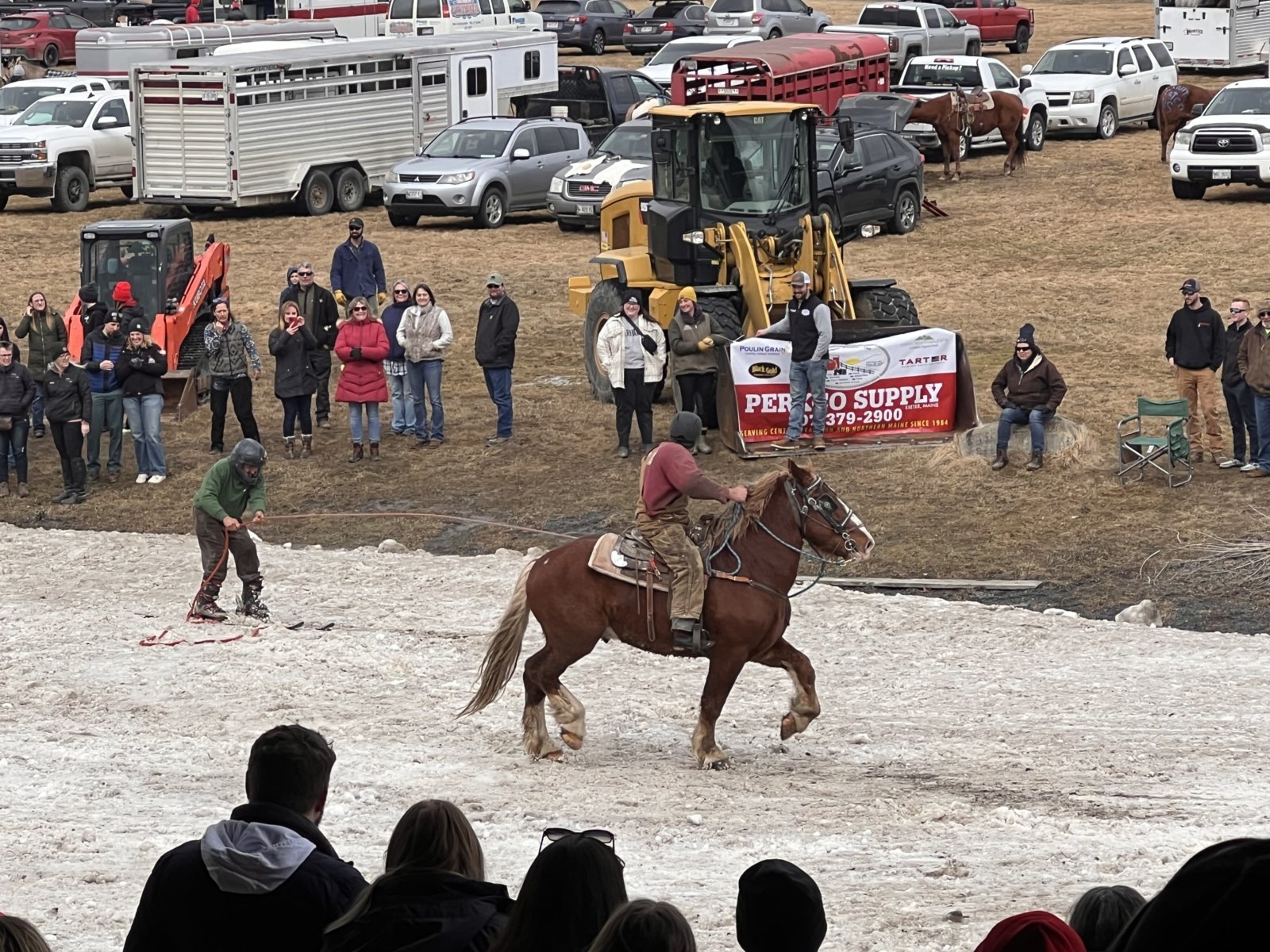 IMG_6365.jpg