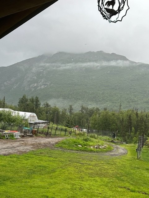 IMG_6373.jpg