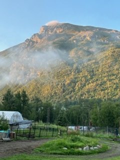 IMG_6466.jpg